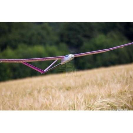 RC Motorgliders - Pegasus V approx.2.00m yellow ARF TOPModeL CZ - FLASH RC