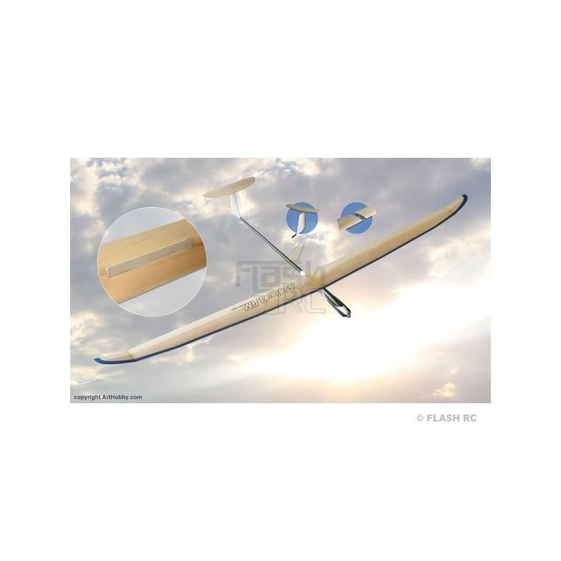 Motoplaneurs RC - Avatar F5J env.3.40m Art Hobby (volets & AF) - FLASH RC