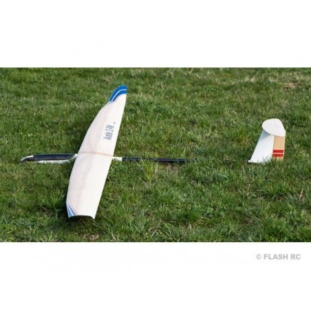 Motoplaneurs RC - Avatar F5J env.3.40m Art Hobby (volets & AF) - FLASH RC