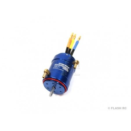 Motori per barche RC - Hobbywing Seaking 3660 3180Kv - FLASH RC