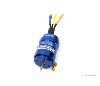 Motores para barcos RC - Hobbywing Seaking 2848 10T 3900Kv - FLASH RC