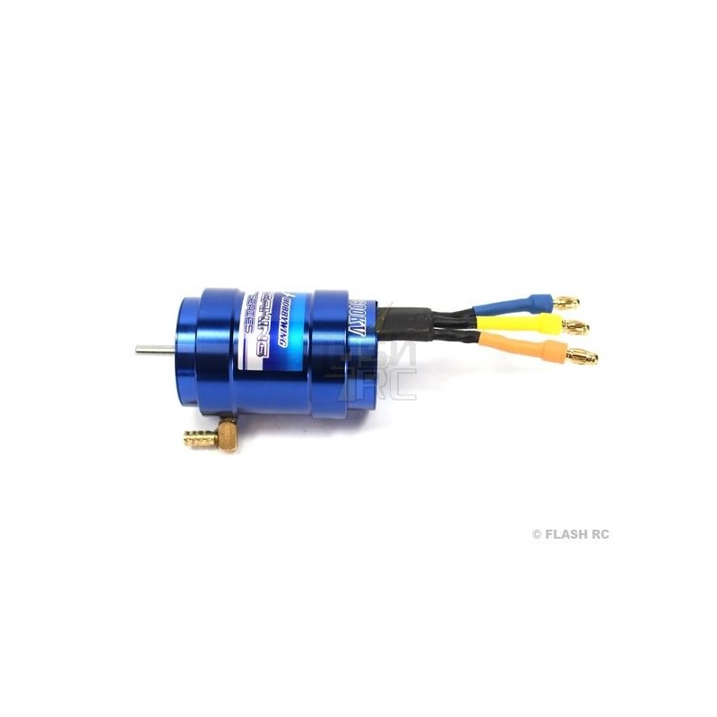 RC Bootsmotoren - Hobbywing Seaking Motor 2848 10T 3900Kv - FLASH RC