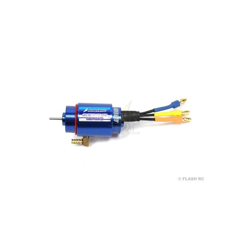 RC boat motors - Hobbywing Seaking 2040 12T 4800Kv - FLASH RC