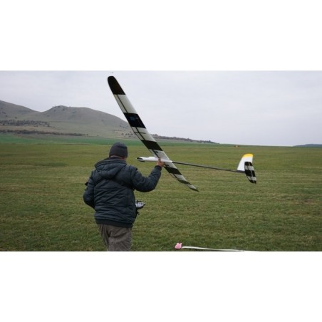 Motoplaneurs RC - TILIA 25 Plus (F5J-400) env. 2.5m - FLASH RC