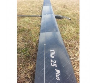 Motoveleros RC - TILIA 25 Plus Full Carbon (F5J-400) approx. 2.5m - FLASH RC 2