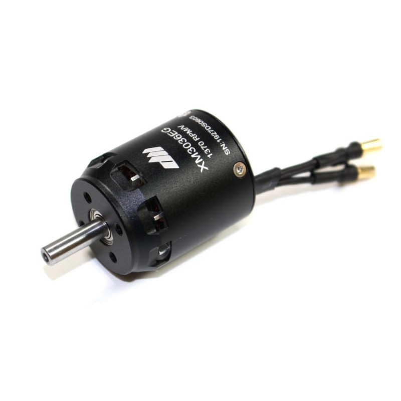 Outrunner - Motore Dualsky XM3036EG-11 (89g, 1370kv, 372W) - FLASH RC