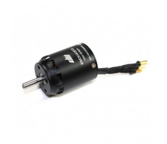 Outrunner - Motor Dualsky XM3040EG-14 (104g, 860kv, 360W) - FLASH RC