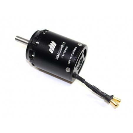 Outrunner - Dualsky XM3850EG-10 motor (195g, 740kv, 752W) - FLASH RC