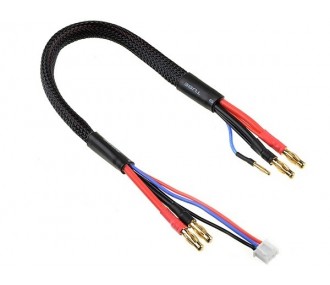 Für Antriebsbatterien - Lade-/Ausgleichskabel 14AWG 30cm für 2S-Akkus Goldstecker 4mm - Corally - FLASH RC