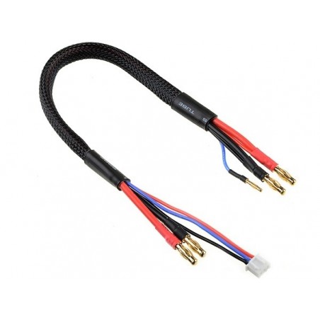 Pour batteries de propulsion - Cordon de charge/equilibrage 14AWG 30cm pour accus 2S prise or 4mm - Corally - FLASH RC
