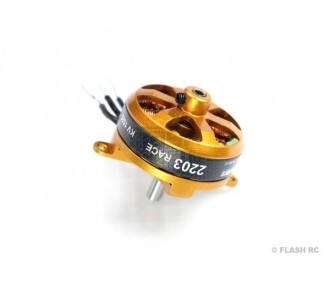 Indoor - AXI 2203/RACE V2 GOLD LINE Motor (18.5g, 2300kv) - FLASH RC