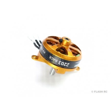 Indoor - Moteur AXI 2203/RACE V2 GOLD LINE (18.5g, 2300kv) - FLASH RC