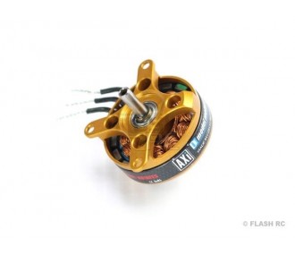 Indoor - Motore AXI 2203/RACE V2 GOLD LINE (18,5g, 2300kv) - FLASH RC 2