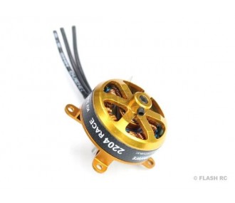 Indoor - Motore AXI 2204/RACE V2 GOLD LINE (22.5g, 2300kv) - FLASH RC