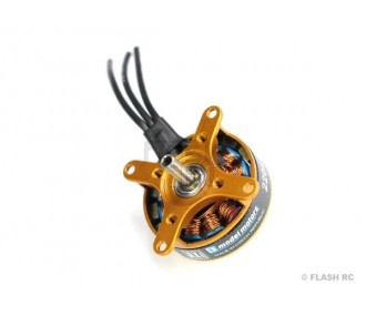 Indoor - Motore AXI 2204/RACE V2 GOLD LINE (22.5g, 2300kv) - FLASH RC 2