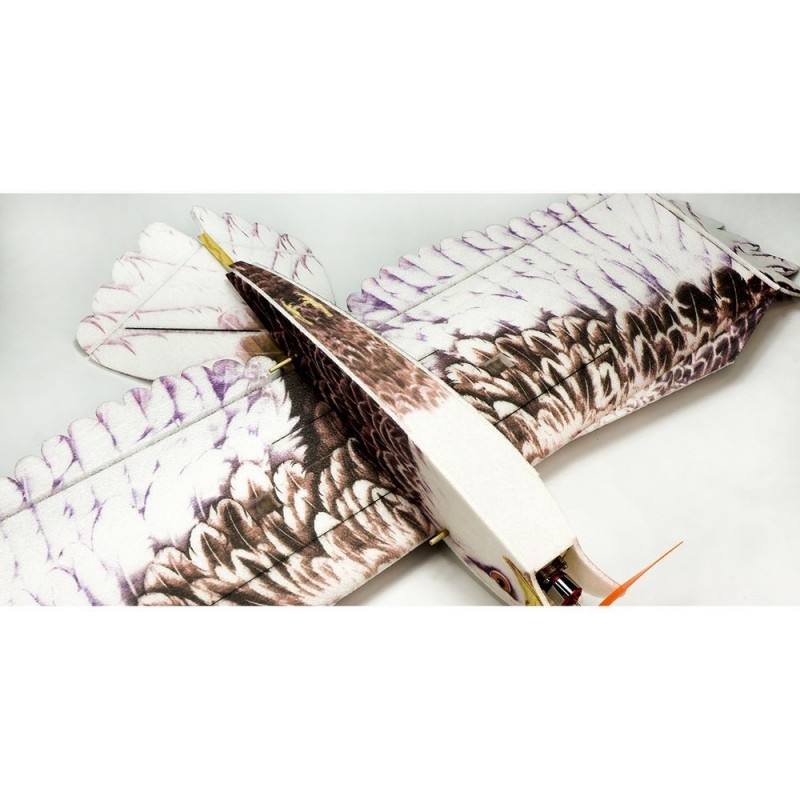 RC Flying Wings - Eagle II1430mm ARF DW HOBBY (with esc, motor and 4 Servos) - FLASH RC