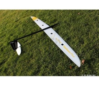 RC-Motorsegler - E-Typhoon PLUS Full carbon 2.90m gelb/schwarz & weiß RCRCM - FLASH RC 2