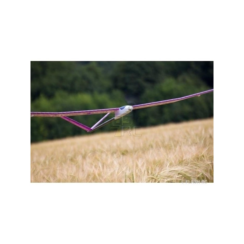 Motoplaneurs RC - Pegasus (emp. croix) env.2.00m rouge ARF TOPModeL CZ - FLASH RC