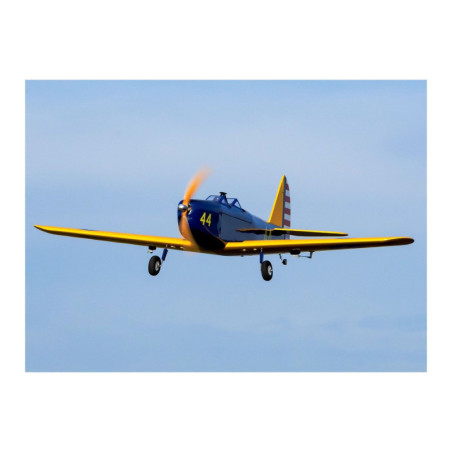 Flugzeug Hangar 9 PT-19 PNP ca. 1.43m - FLASH RC