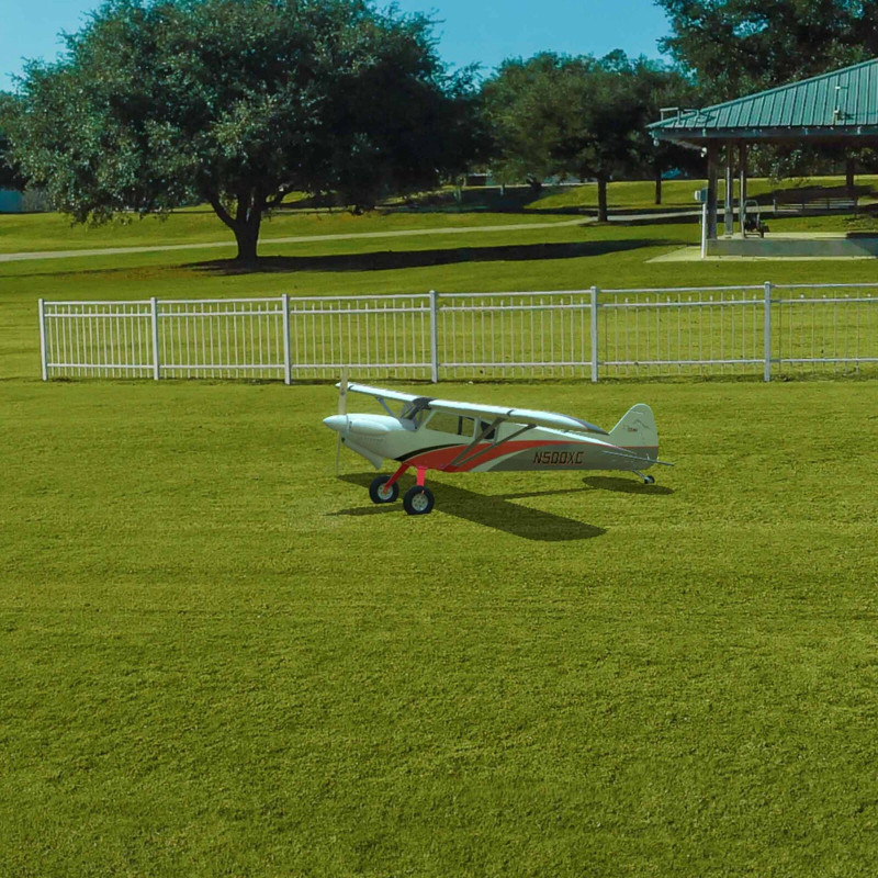 Simulador RealFlight Evolution (sólo software)