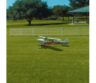 Simulateur RealFlight Evolution Horizon Edition avec InterlinkDX multimode 2