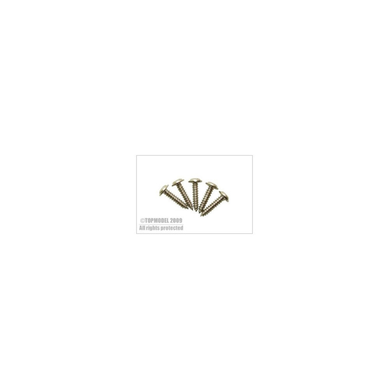 SERVO-Schraube 2,2x10mm 20St. TOPMODEL