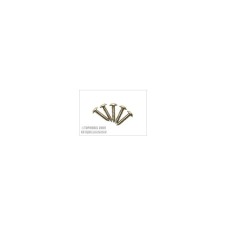 SERVO SCREW 2.2x10mm 20pcs TOPMODEL - FLASH RC