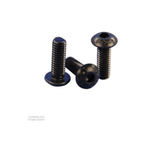 PAN head screw M4x10mm 10pcs - FLASH RC