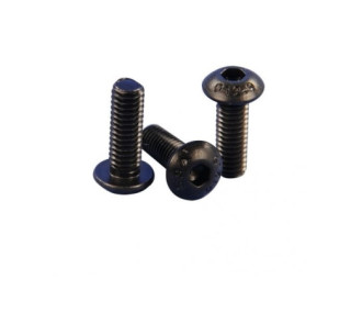 Steel Screw, Pan Head M3x20mm (10 pcs) - FLASH RC