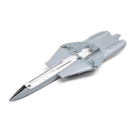 Fusoliera: F-14 Tomcat 40mm Twin E-Flite