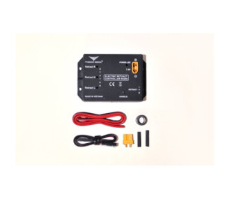 Scatola di controllo R5206 - FLASH RC