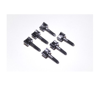 Plastic Screw 6 x 25 (6 Stück) - FLASH RC