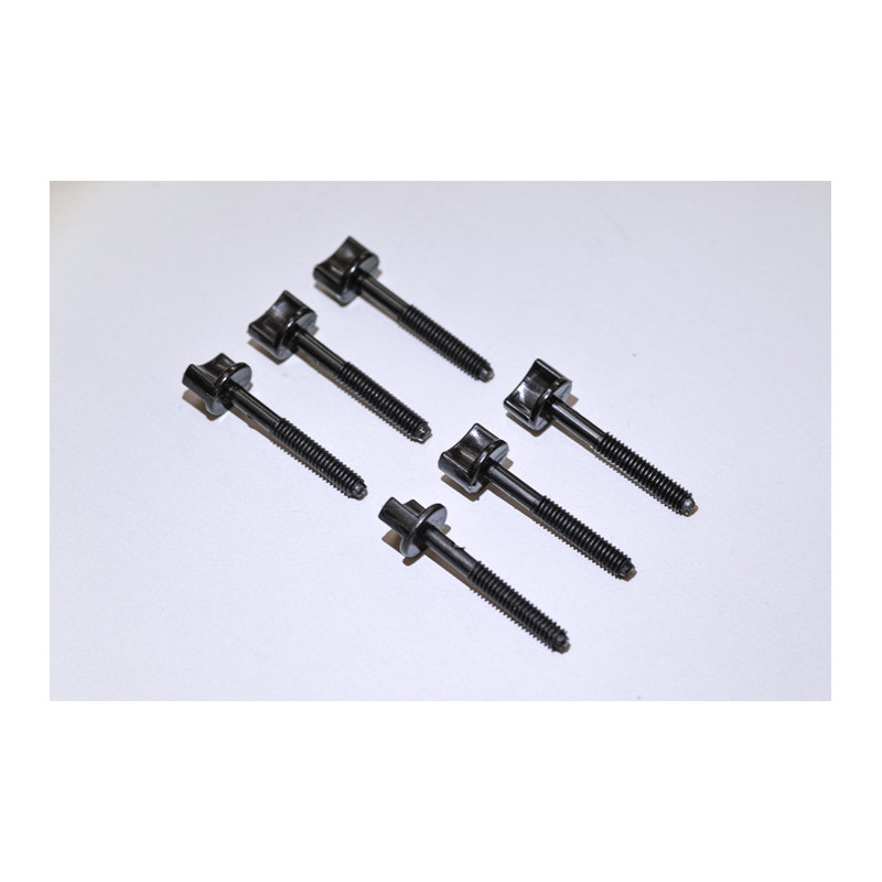 Plastic Screw 6 x 45  (6 pcs) - FLASH RC