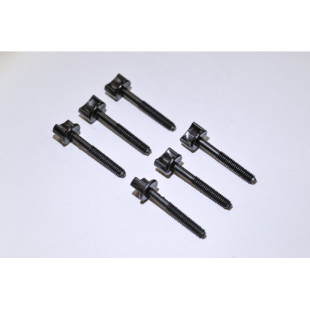 Plastic Screw 6 x 45  (6 pcs) - FLASH RC