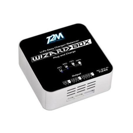 Cargador Wizard Box 1x50W 220V T2M