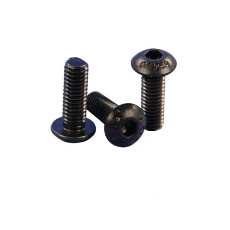 VITE A TESTA BULLATA M4x16mm 10pz