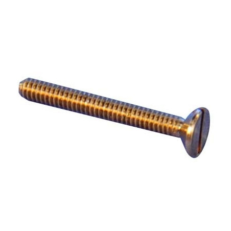 BRASS SCREW TF M1x8 10pcs