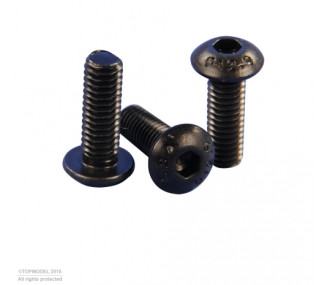 VIS CHC TETE BOMBEE M2,5x12mm 10pcs - FLASH RC
