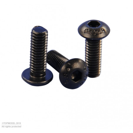 TORNILLO CHC M2,5x12mm 10pcs
