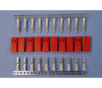 Crimp- / Lötsteckdosen - MALE BEC CONNECTEUR EN KIT 10pcs - FLASH RC