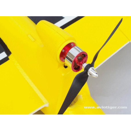 Motoplaneur RC - FREEMAN V3 1600mm RTF - FLASH RC