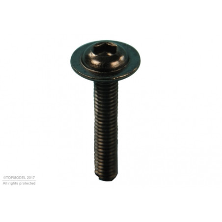 SCHRAUBE Chc M3x16mm 30St.
