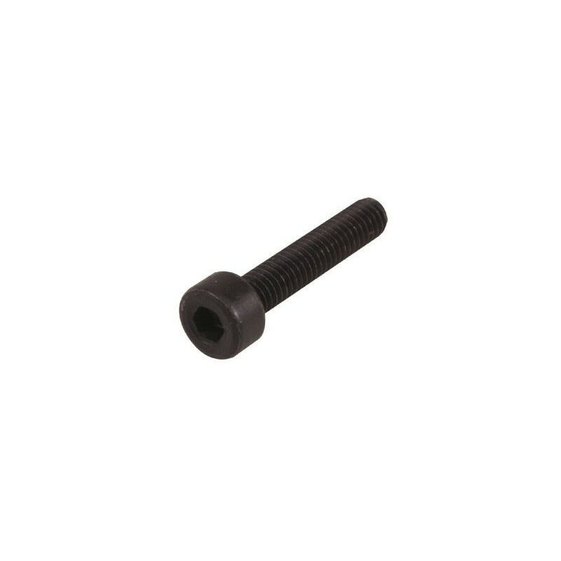VIS 6 PANS CREUX M2,5x5 mm 10pcs - FLASH RC