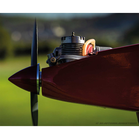 Kit bois avion à construire Robbe Rasant 0,90m - 50 ans - Thermique version - FLASH RC