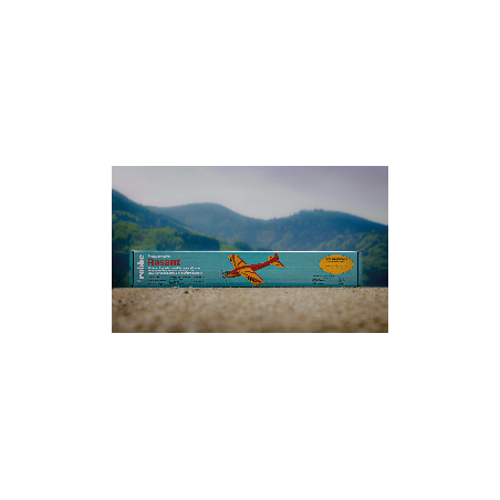 Kit bois avion à construire Robbe Rasant 0,90m - 50 ans - Thermique version - FLASH RC