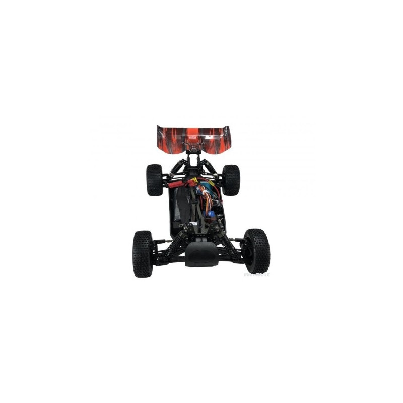 BLACKBULL 1/10 EP RTR BUGGY