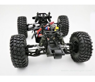 BULL EXTREME 1/10 EP BRUSHLESS 2