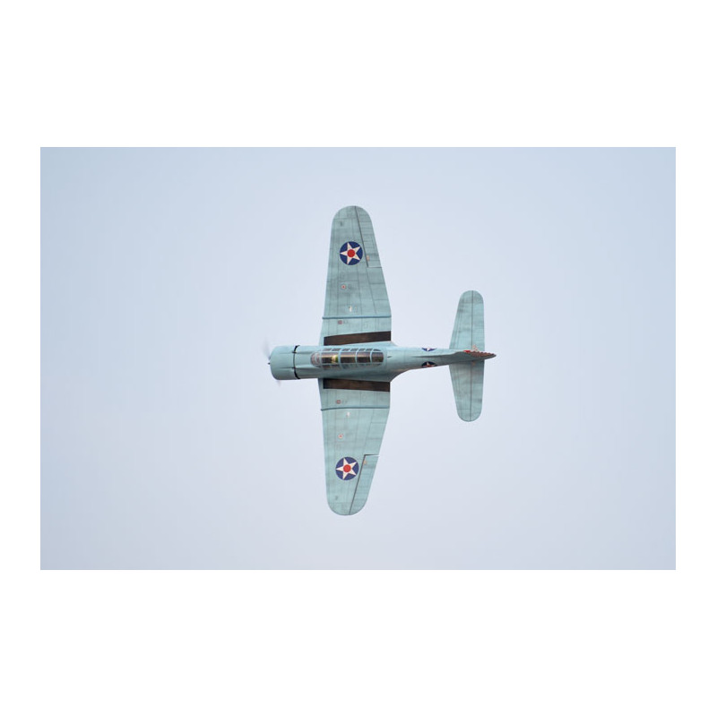 Avion Phoenix Model_SBD DAUNTLESS_1,4 m_ARF .46 -.55 - FLASH RC
