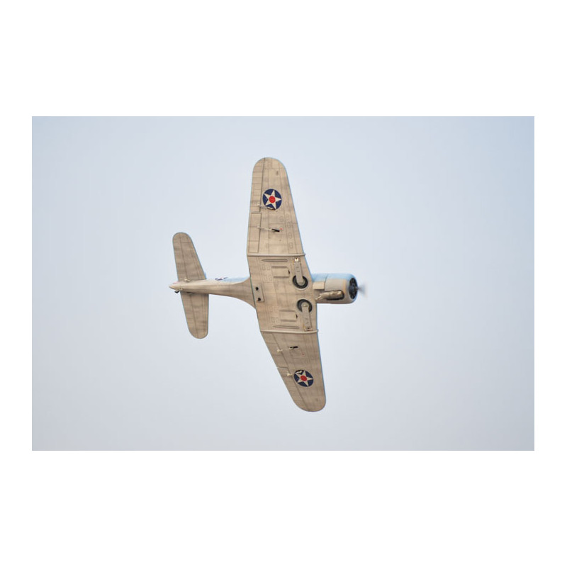 Avion Phoenix Model_SBD DAUNTLESS_1,4 m_ARF .46 -.55 - FLASH RC