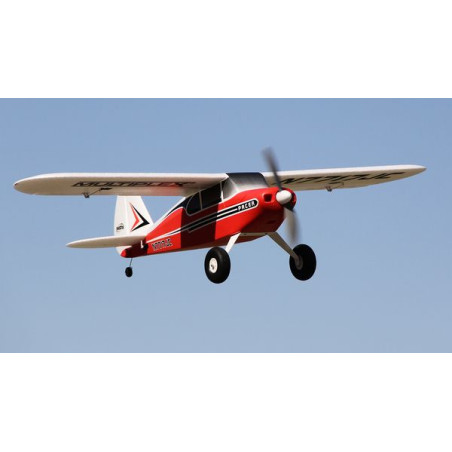 Flugzeug Multiplex RR Pacer